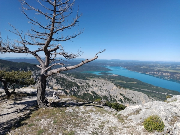 Vue sur le lac de Sainte Croix depuis le Belvédère de Plein Voir situé dans le parc naturel régional du Verdon